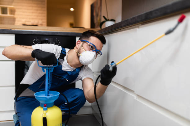 Best Emergency Pest Control  in Friedens, PA