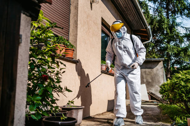Best Wildlife Control Services  in Friedens, PA
