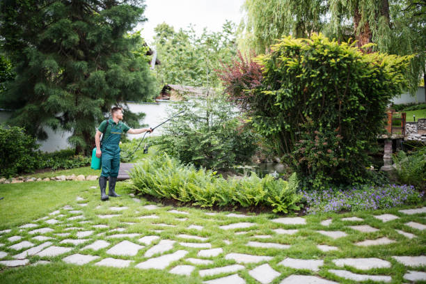 Best Emergency Pest Control  in Friedens, PA