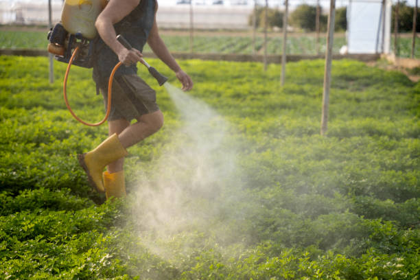 Best Insect Control  in Friedens, PA