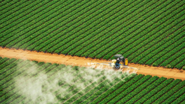 Best Commercial Pest Control Services  in Friedens, PA