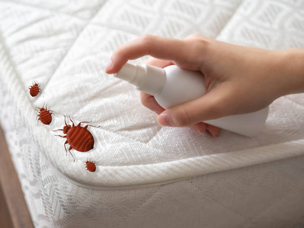 Best Cockroach Control Services  in Friedens, PA