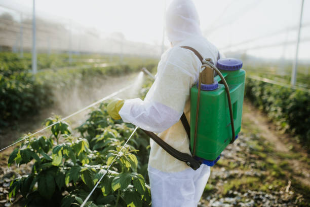 Best Mosquito Control Services  in Friedens, PA